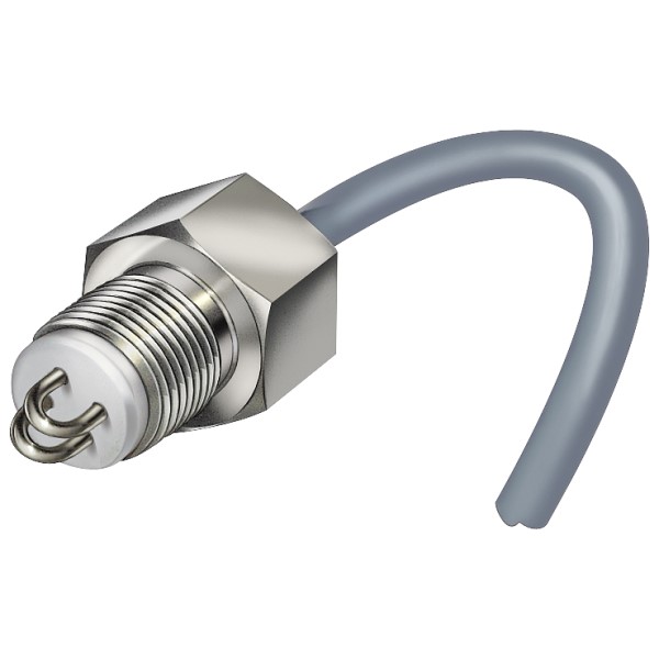 Electrodo de arco de 2 polos de montaje lateral para vigilancia del nivel